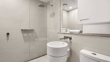 Shower, hair dryer, towels