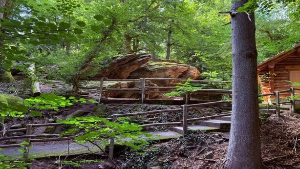 Uma cabana rústica rodeada por uma floresta, com uma ponte de madeira que a leva até ela.