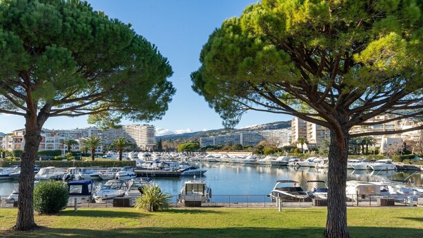 Uma marina com barcos atracados, cercada por árvores e edifícios ao fundo.