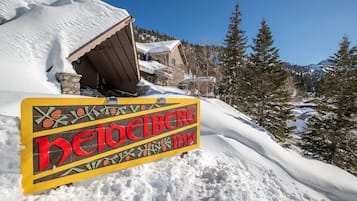 Terrain de l’hébergement