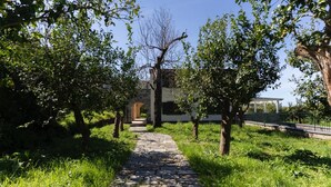 Un chemin de pierre mène à un bâtiment doté d’une entrée en arc de cercle, le tout étant entouré d’une végétation luxuriante et d’arbres.