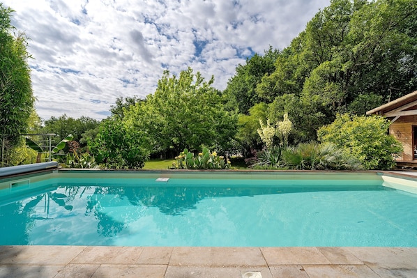 A rectangular swimming pool with clear blue water, surrounded by lush greenery and trees.