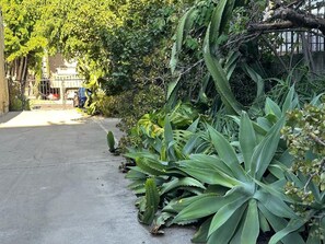 Property grounds - HOLLYWOOD GLORY - Delightful 1-bedroom apartment with AC in Los Angeles (Los Angeles)