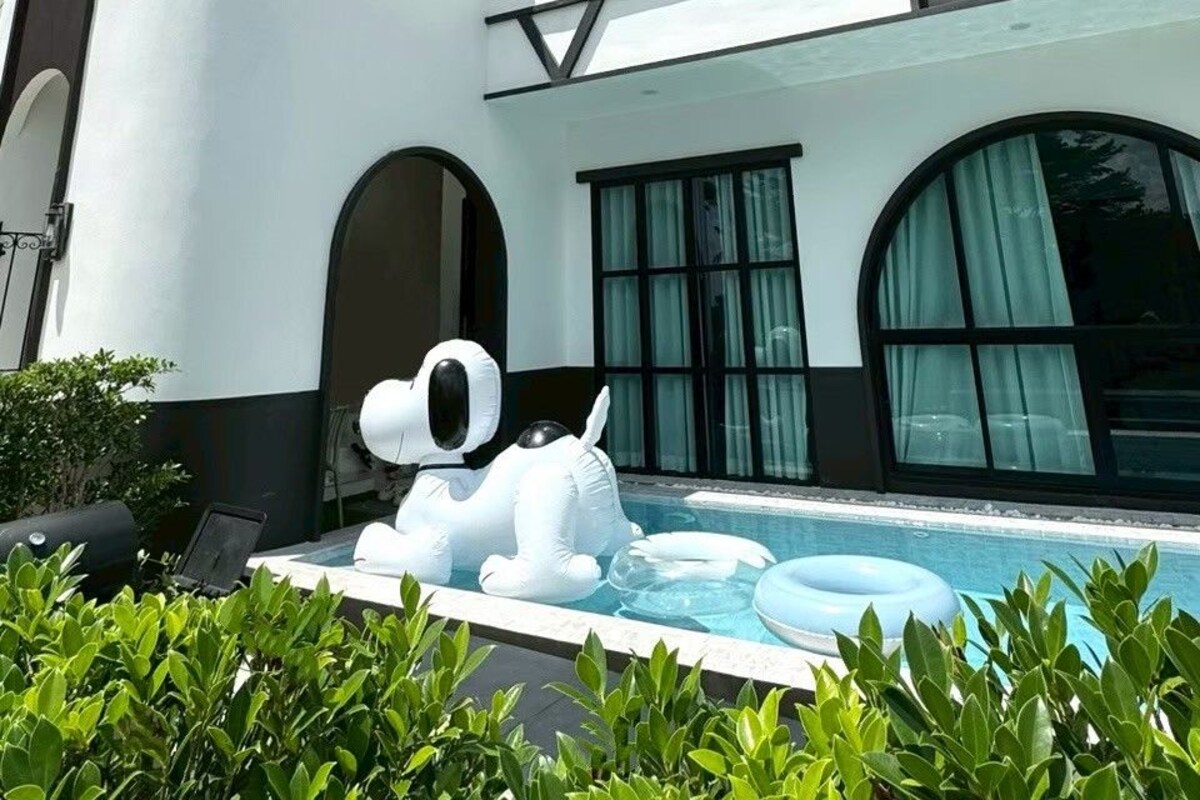 Un edificio moderno con piscina, una escultura inflable de perro grande y una computadora portátil en el patio.