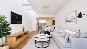 TV, fireplace, books