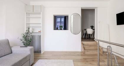 lovely copenahgen apt