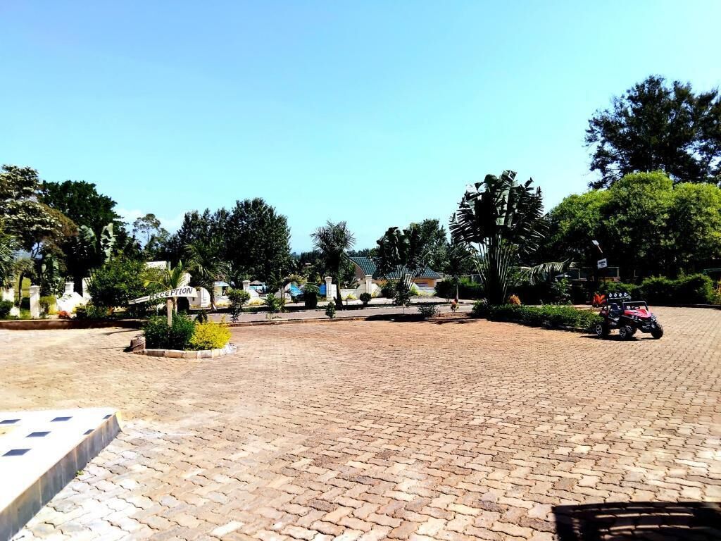 Un patio empedrado con una zona de recepción, rodeado de vegetación y árboles.