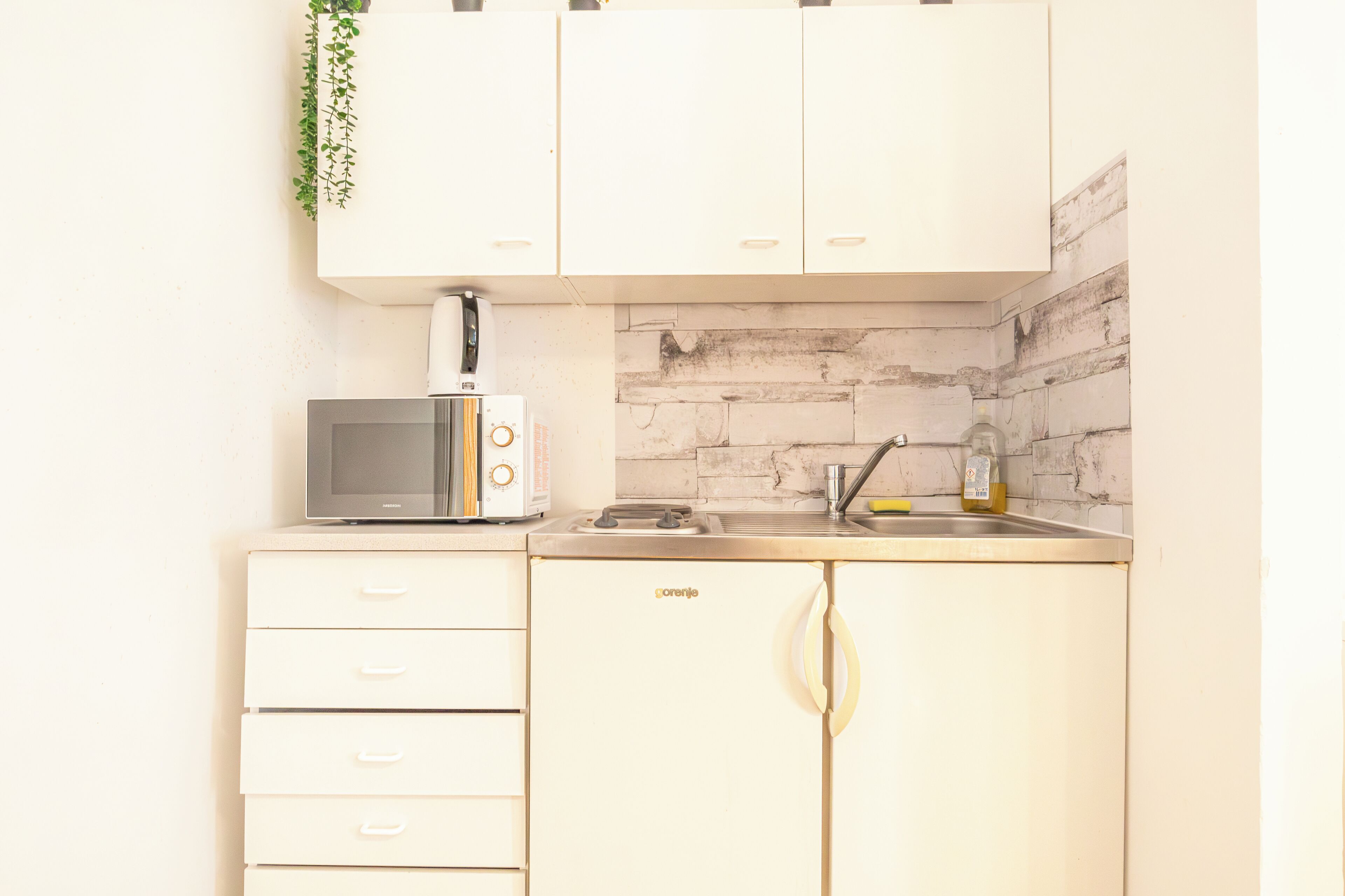Basic Apartment | Private kitchen | Fridge, microwave, oven, stovetop