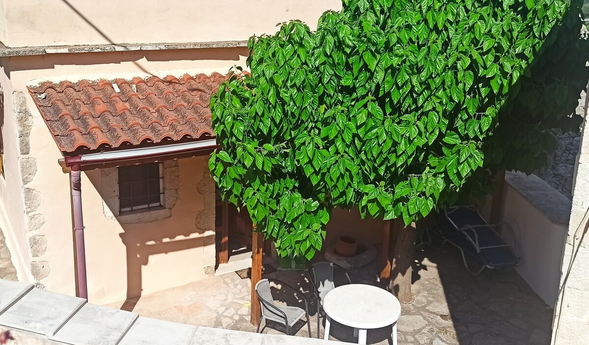 Imagen de perfil del propietario o de la propietaria