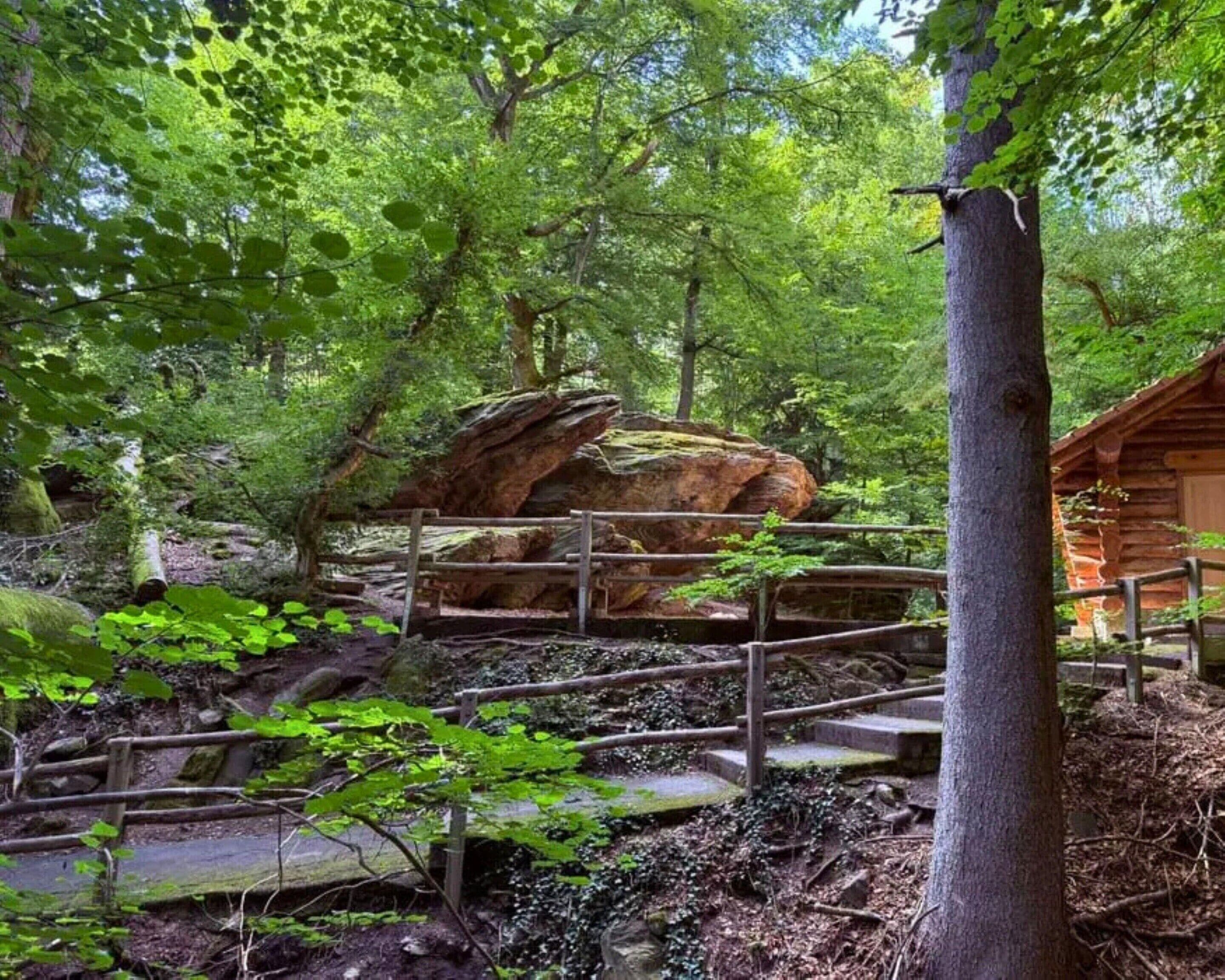 Leilighet | Utsikt fra overnattingsstedet