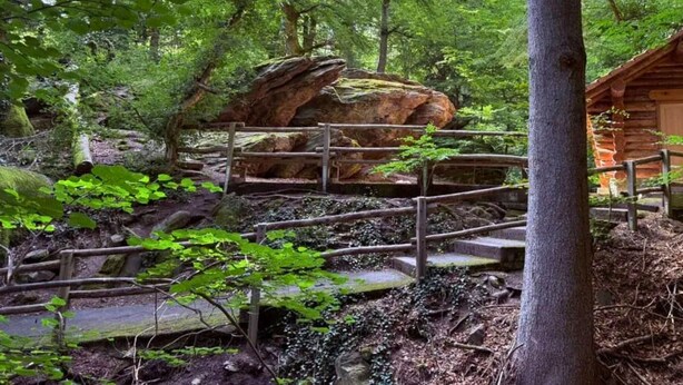 Eine rustikale Holzhütte, umgeben von einem Wald, mit einer Stegbrücke als Zugang.