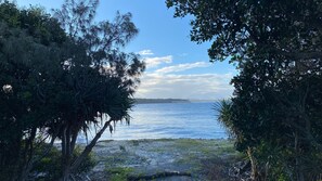 A coastal view with trees framing the scene, a sandy beach, and calm water.