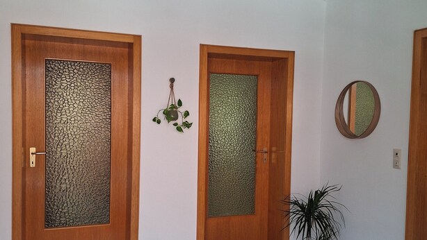 Corredor com duas portas de madeira, painéis de vidro texturizado, um vaso de planta, um espelho pequeno e um tapete preto na entrada.