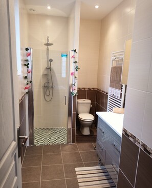 A modern bathroom with a shower, toilet, and vanity. - LE GITE DES DEUX LACS MORVAN NEAR LAC DES SETTONS 9PERS (Planchez)
