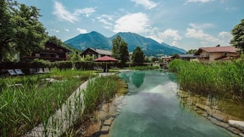 Seasonal outdoor pool, pool umbrellas, pool loungers