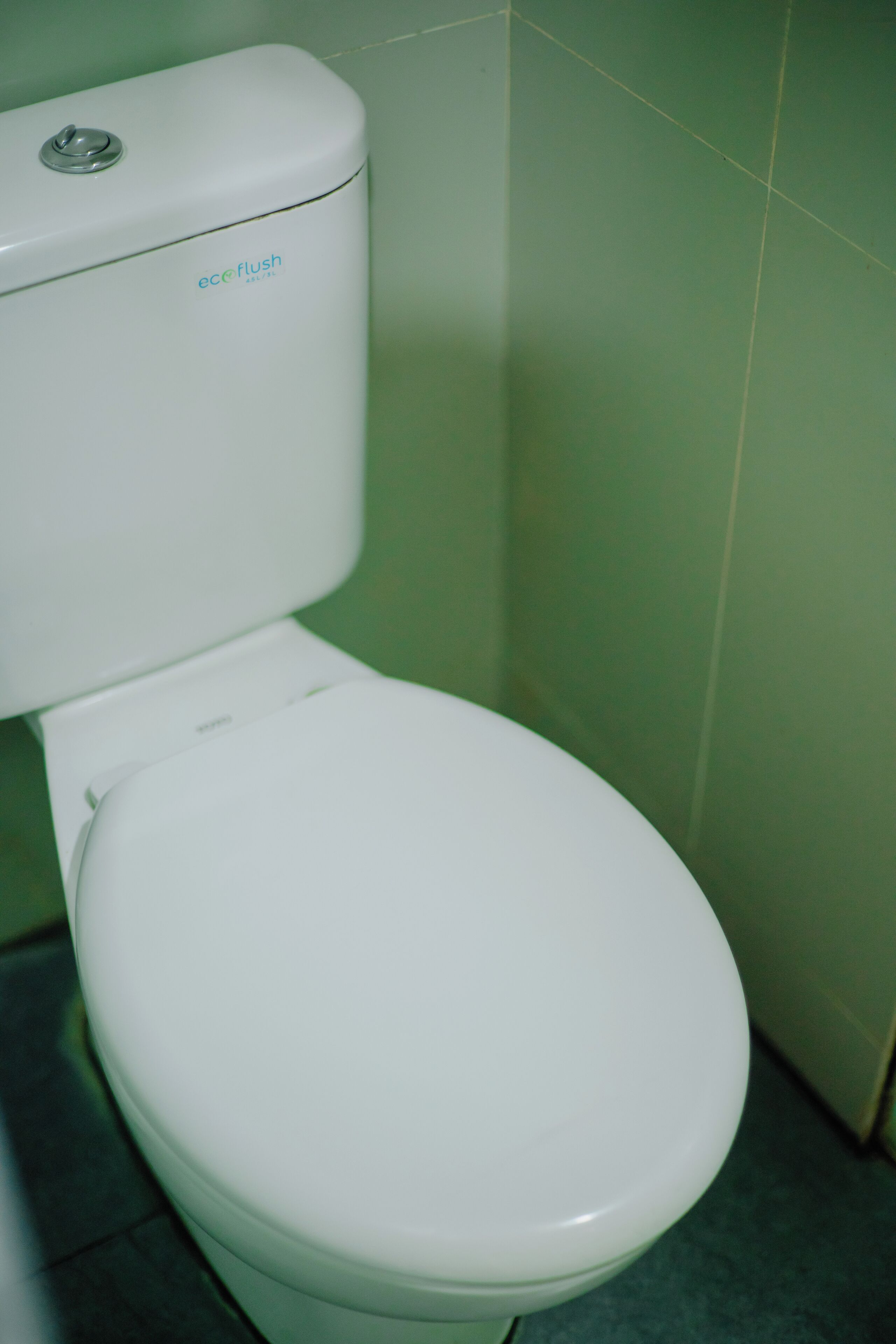 A white toilet with the brand name 'eco flush' visible on the tank.