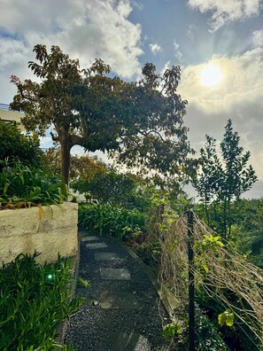 Property grounds - Apartamento Precioso | Large terrace, sea view and pool (Arco da Calheta)