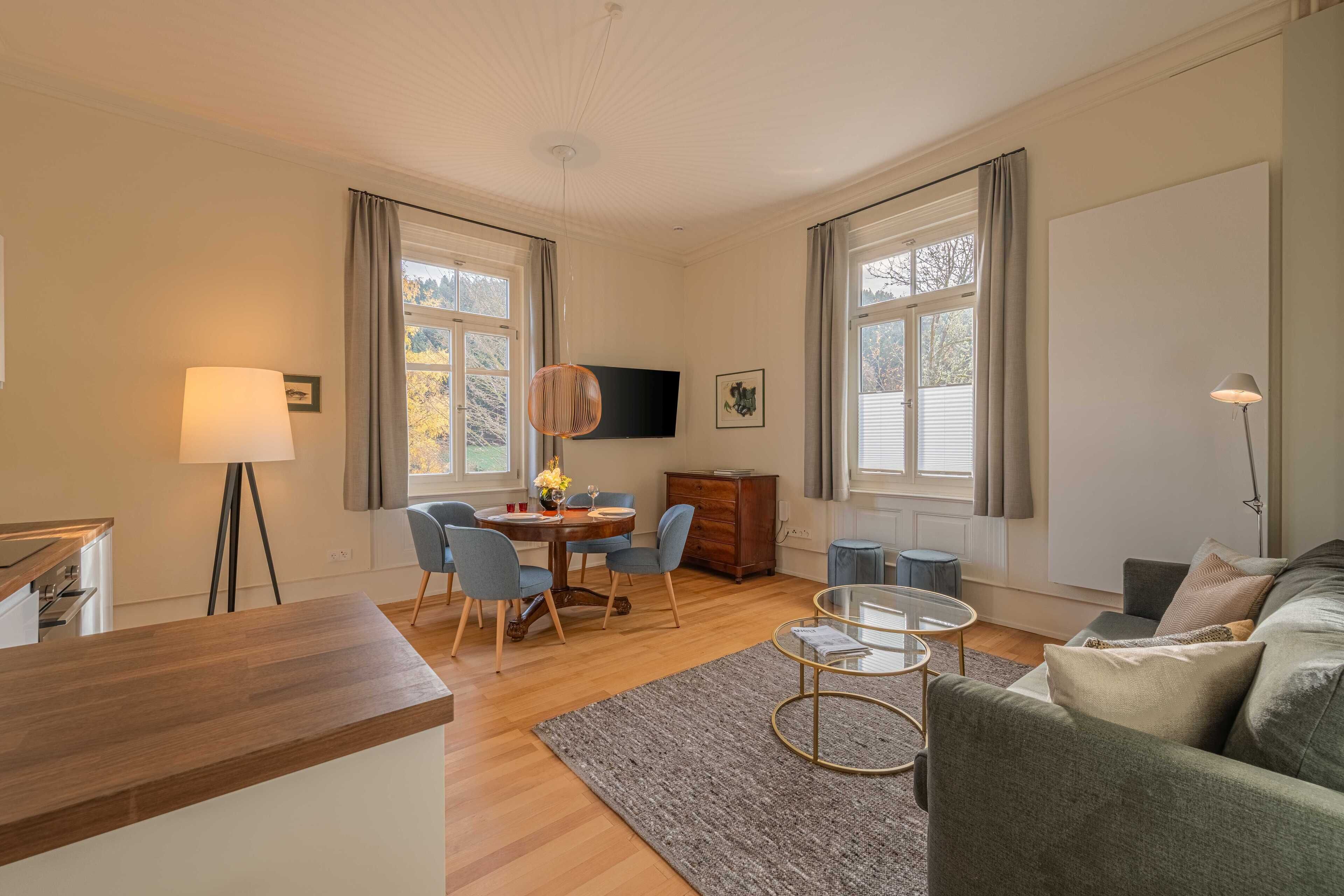 Apartment, Mezzanine | Living area | 55-inch TV with satellite channels