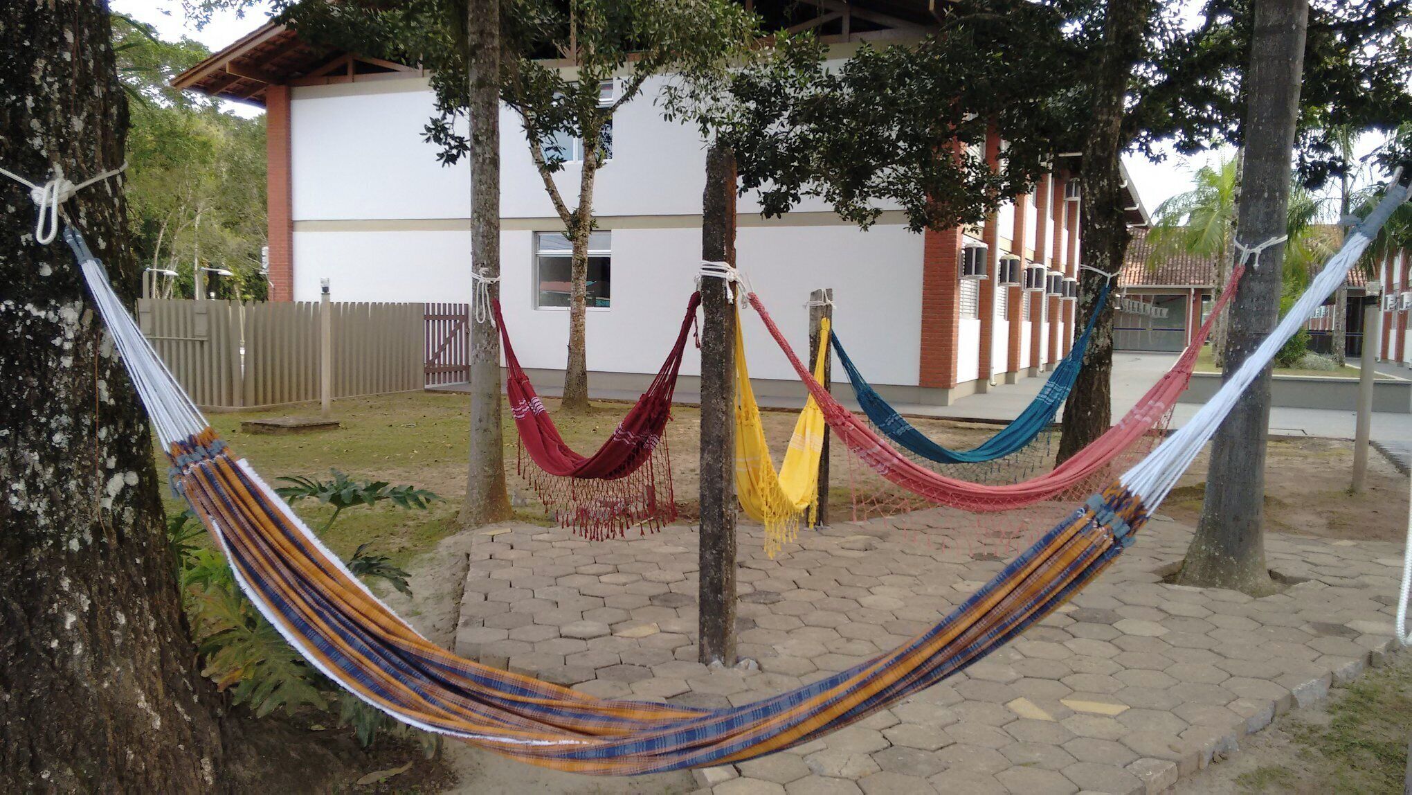 A hammock set up between trees in a courtyard with a building in the background.