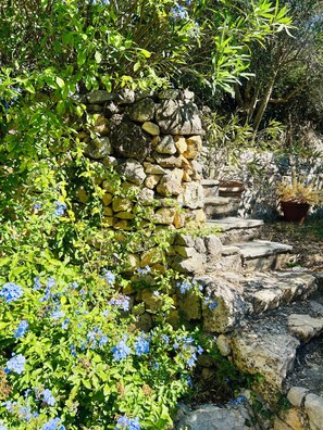Eine steile Steintreppe führt zu einer Steinmauer, umgeben von üppiger Vegetation und blauen Blumen.