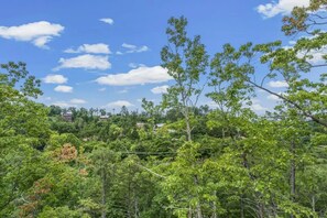 Cabaña exclusiva, 2 habitaciones, bañera de hidromasaje, junto a la montaña | Vistas desde la habitación