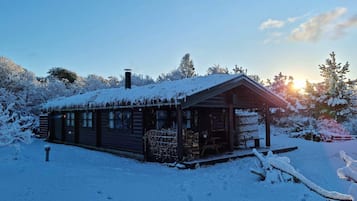 Hytte - 2 soveværelser - sauna - udsigt til have | Udendørsområde