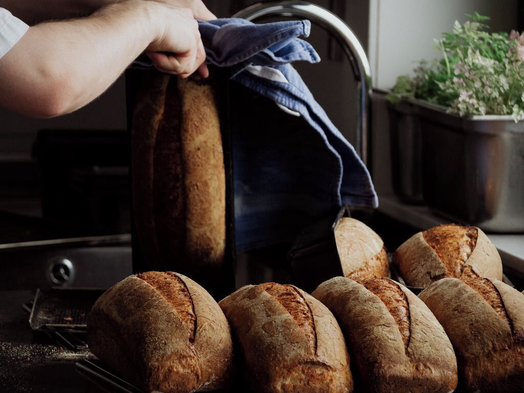 Eine Person hält eine Laib Brot in einer Küche, in der mehrere Brote auf einem Abkühlgitter liegen.