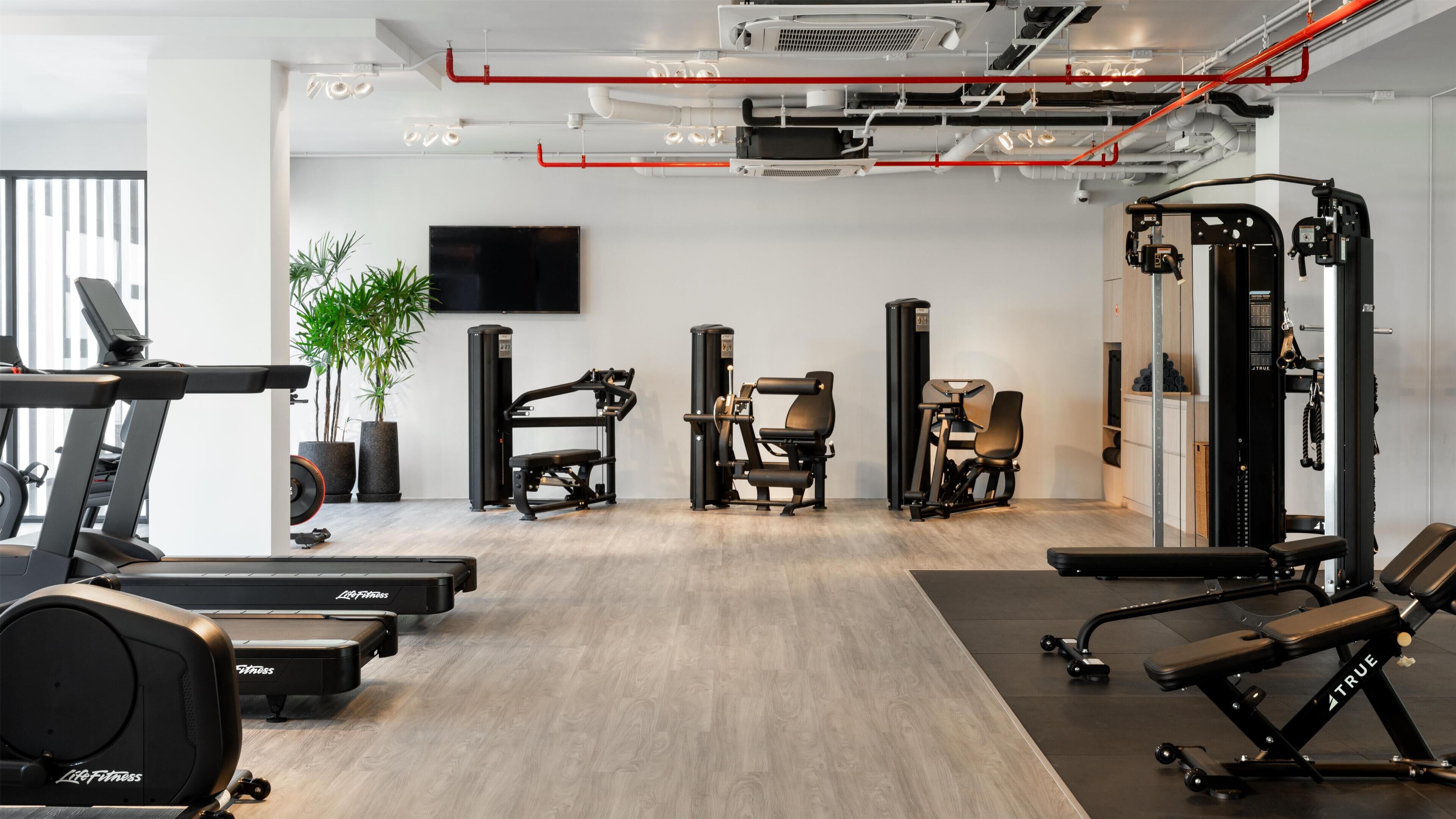 A gym with cardio equipment, weight machines, and a TV on the wall.
