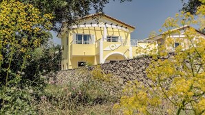 Exterior - Villa Alexia on the Greek Island of Zakynthos! (Zakynthos)