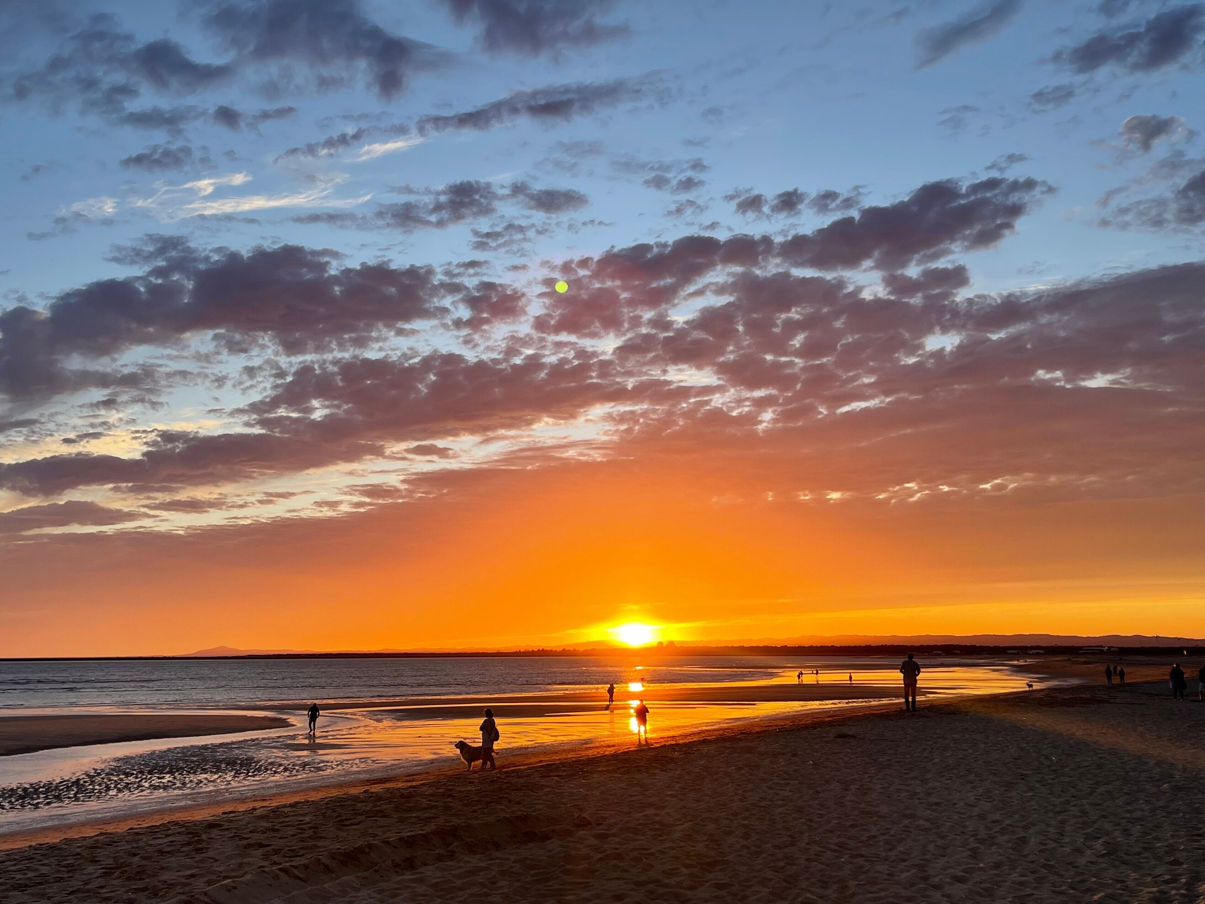 Escena de playa con el sol poniéndose en el horizonte, gente caminando por la orilla y un perro.