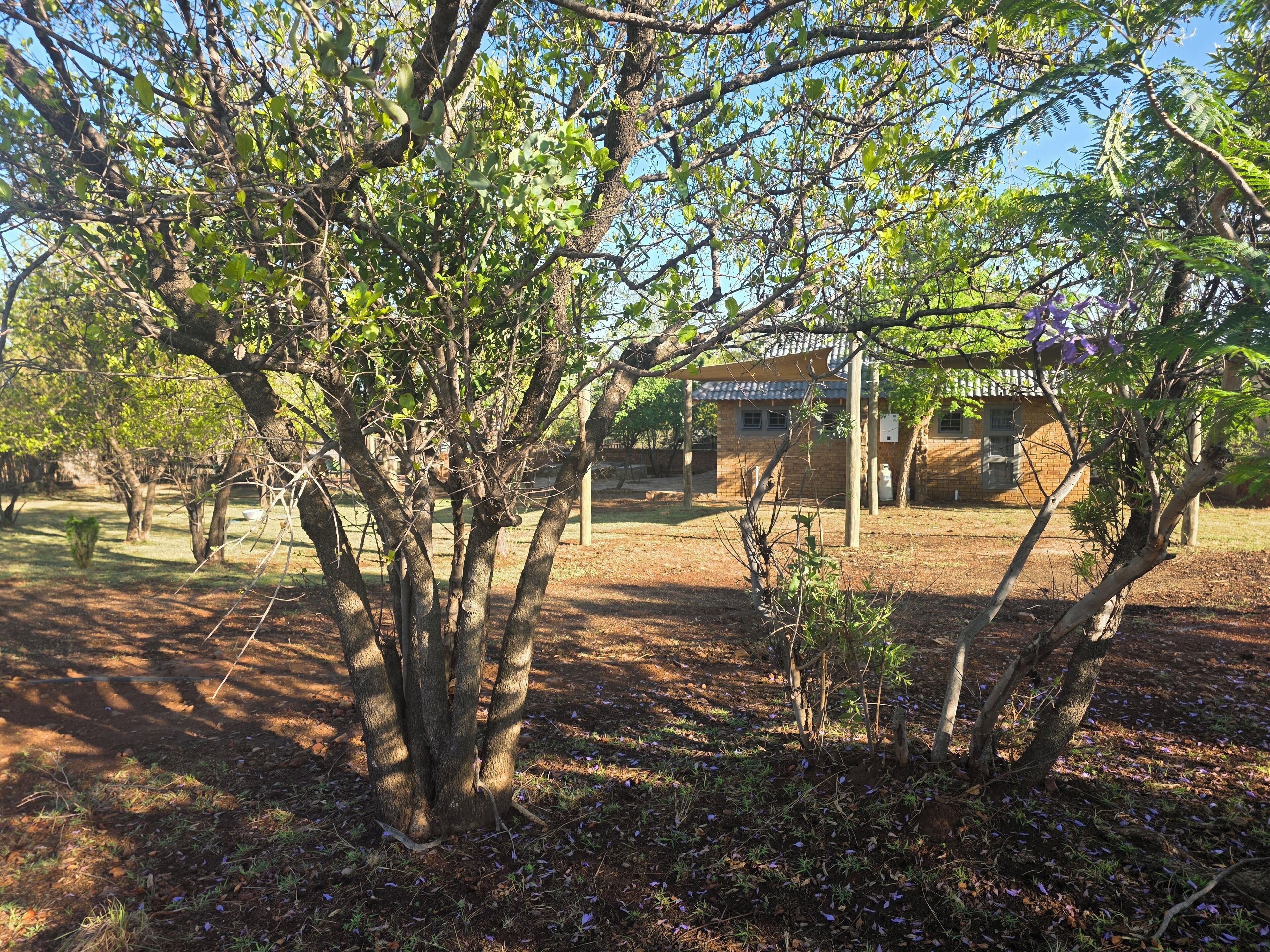 Superior Chalet, Garden View | Property grounds