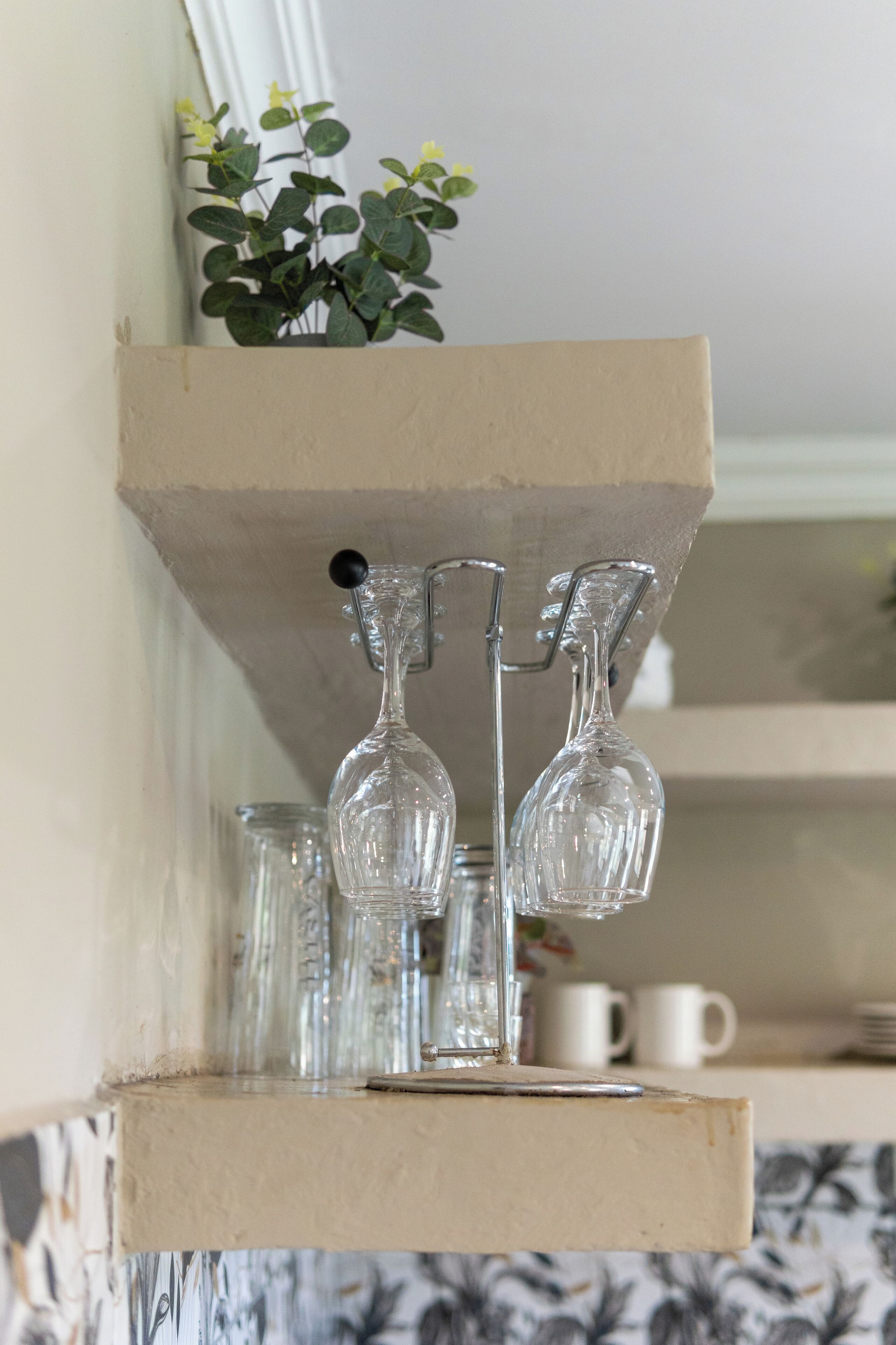 A kitchen shelf with glassware and a small plant.