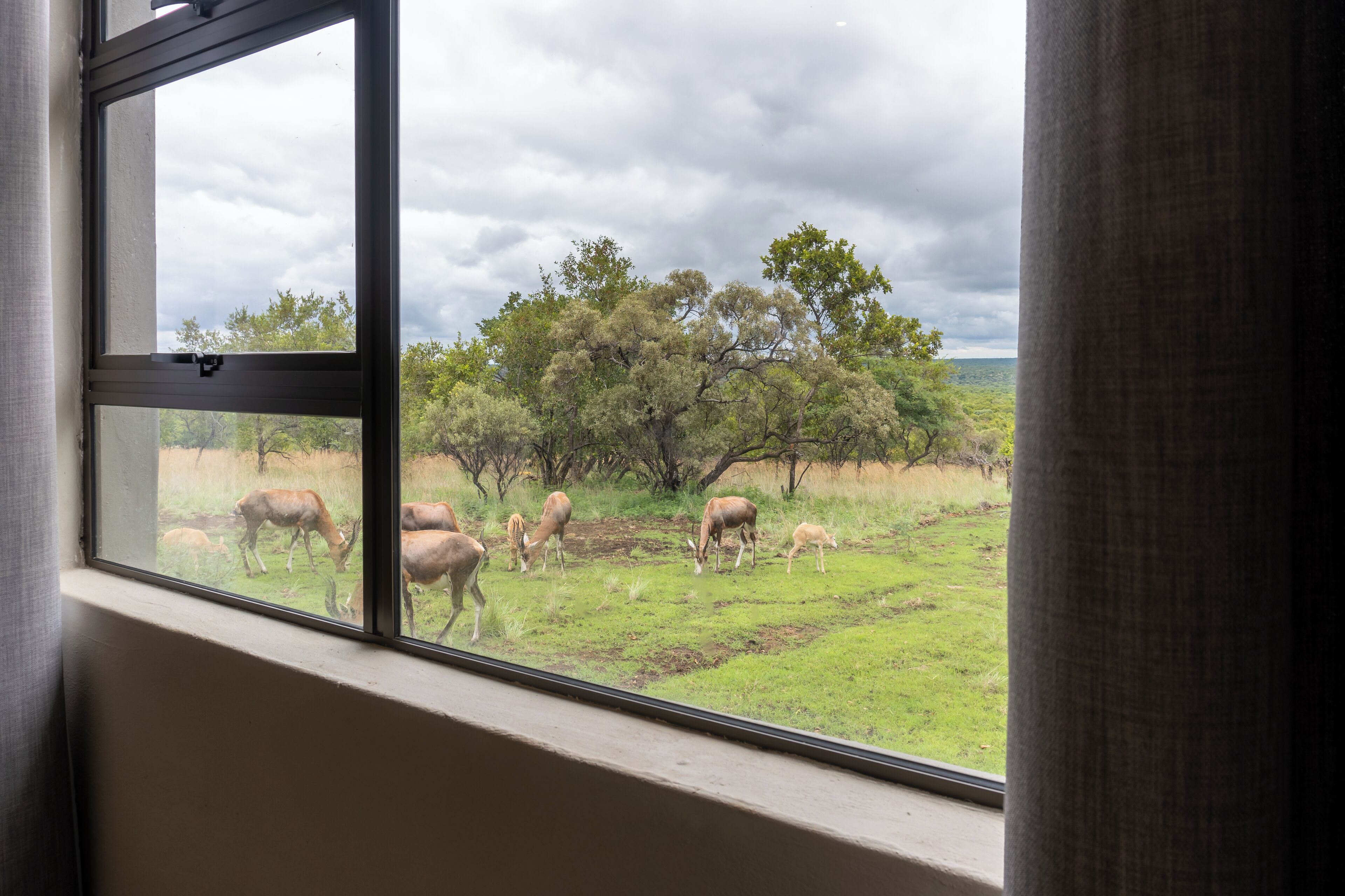 المنشأة من الداخل