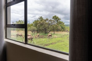 Luxury House, Pool View | Interior