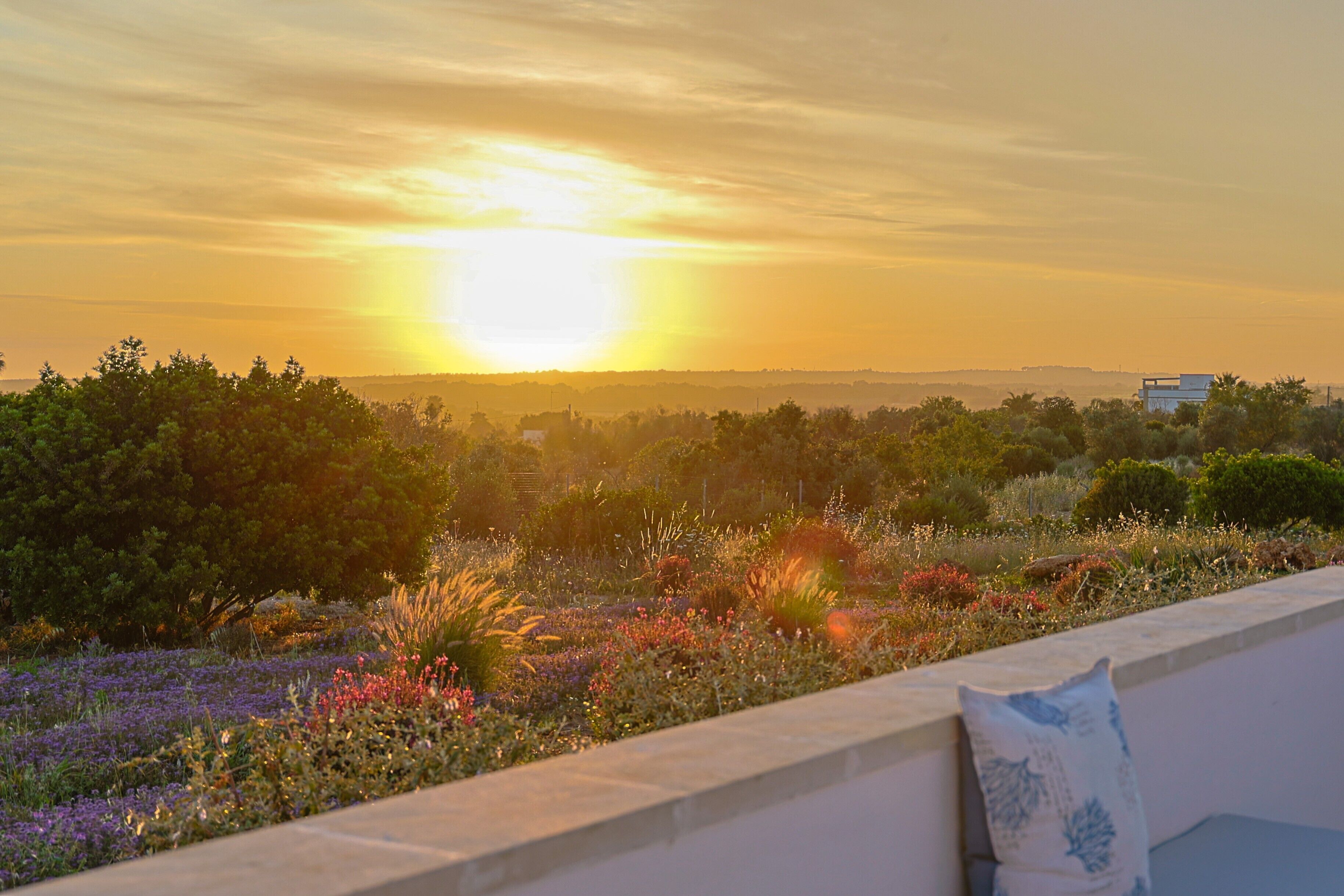 Parco della struttura