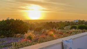 A sunset view from a balcony with a cushion, a garden with various plants, and a distant building. - Independent Villa with Pool, Sea View, Wi-Fi, and Air Conditioning (Ugento)