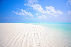 Playa en los alrededores 