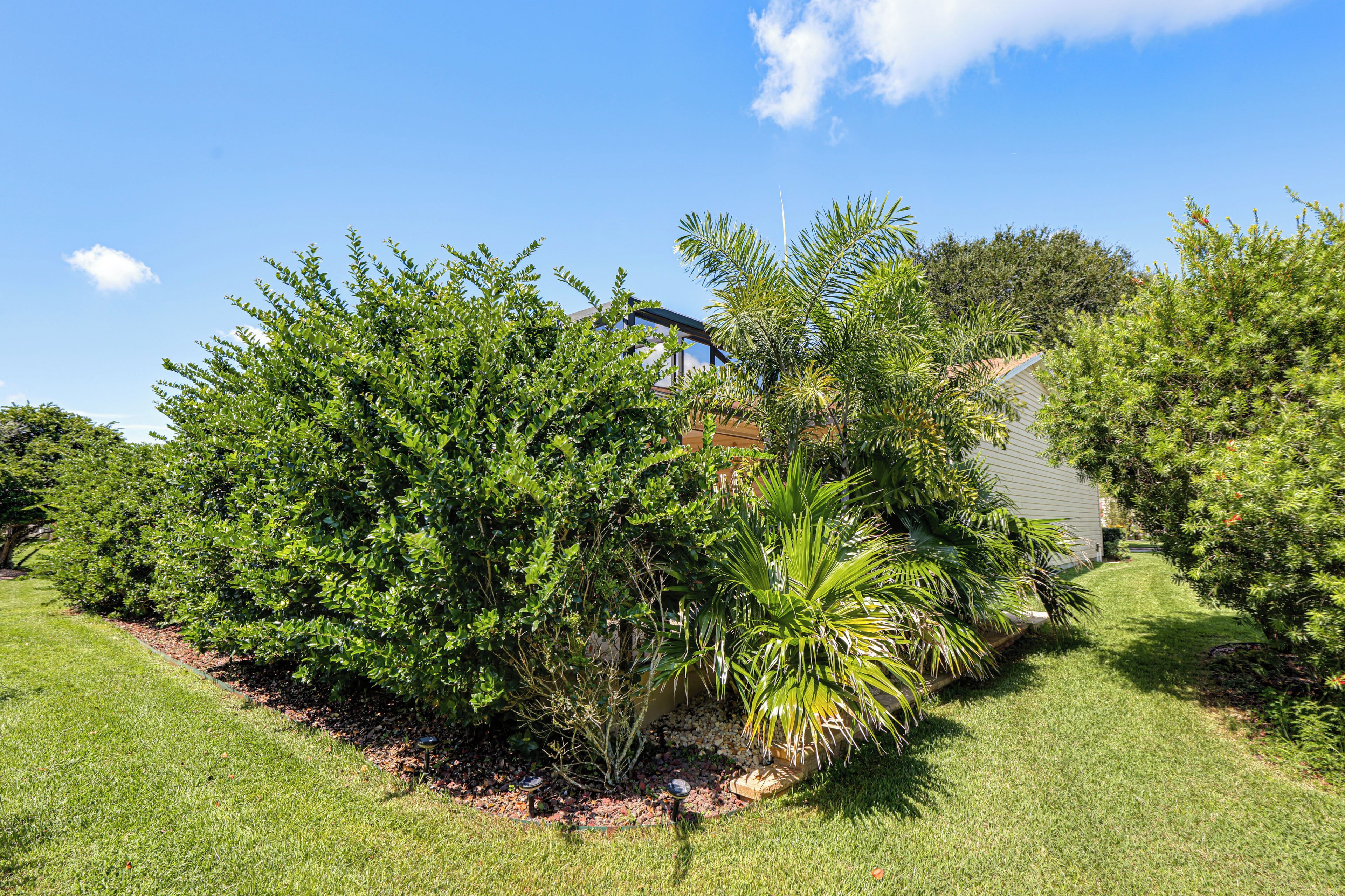 Ein gepflegter Garten mit verschiedenen Sträuchern und einer Palme, ein klarer Himmel und ein Gebäude im Hintergrund.