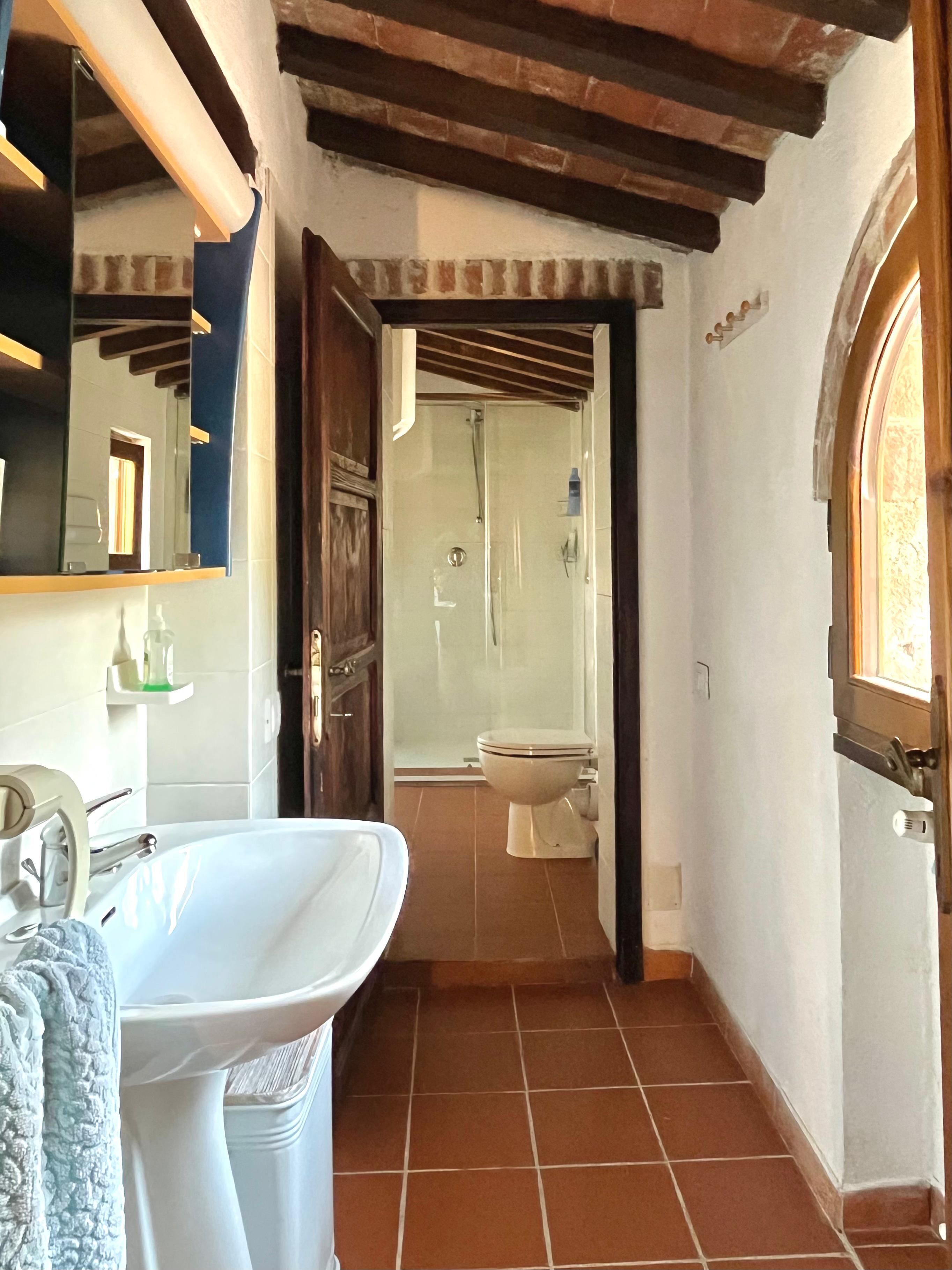 Dusche, Haartrockner, Handtücher, Toilettenpapier