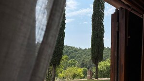 A view through a window with a curtain, revealing a well-maintained lawn and tall trees in the background. - Podere Cagnesi: Relaxation in nature (Podere Cagnesi)