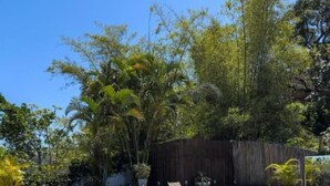 Una piscina rettangolare con bordo piastrellato, circondata da lettini e piante in vaso.