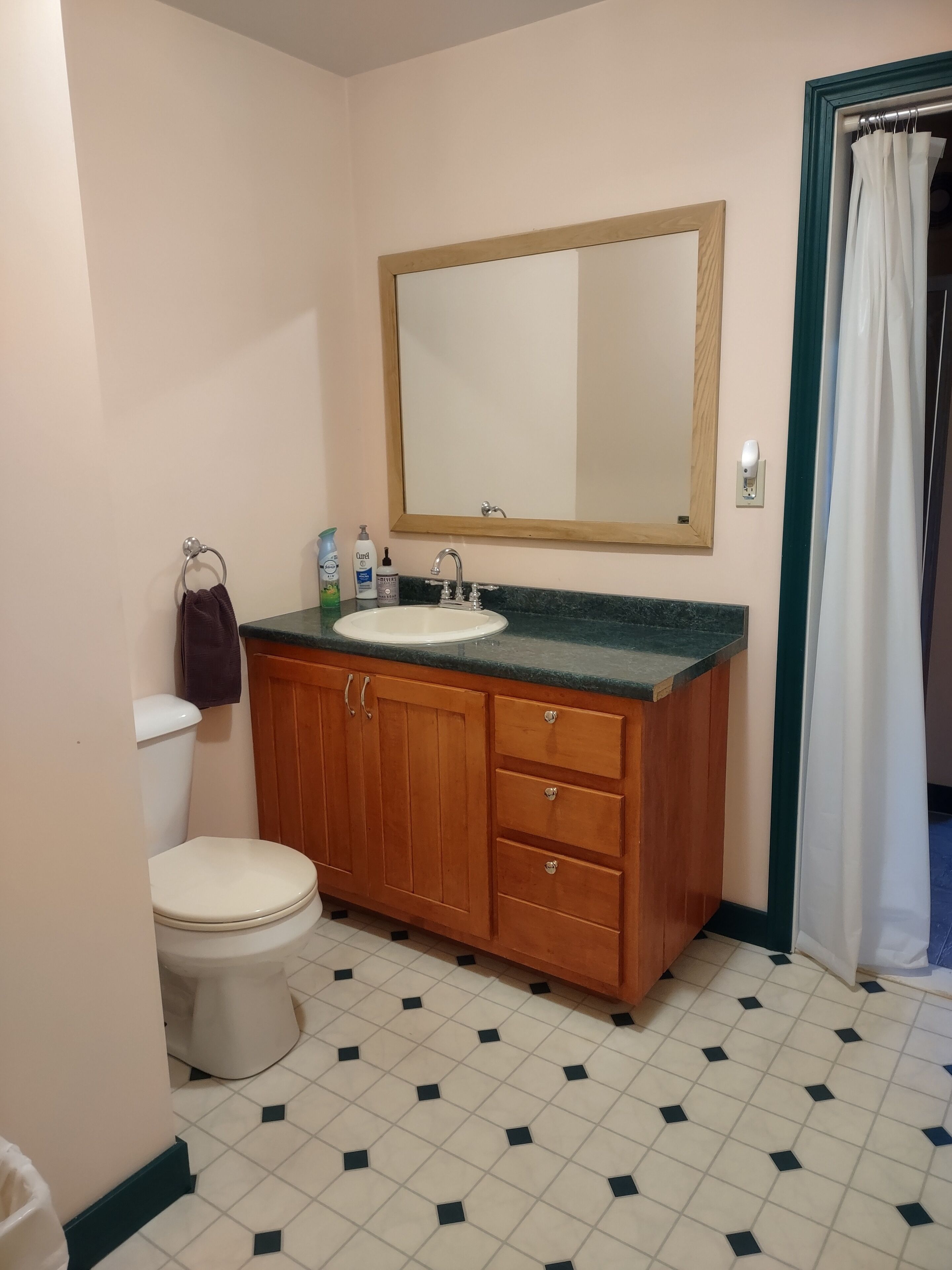 Hair dryer, towels, soap, toilet paper