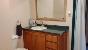 Hair dryer, towels, soap, toilet paper