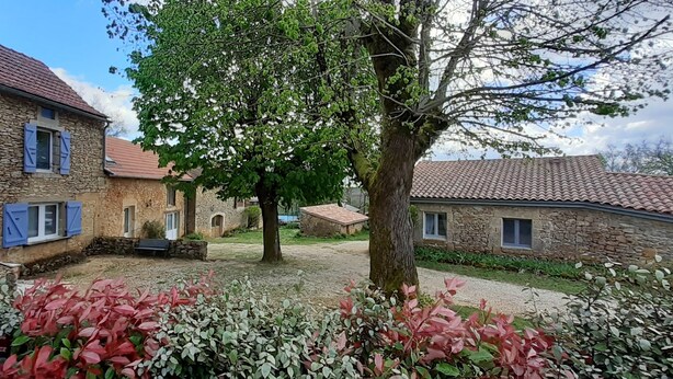 Un bâtiment en pierre avec des volets bleus, un arbre au centre et une cour recouverte de gravier.