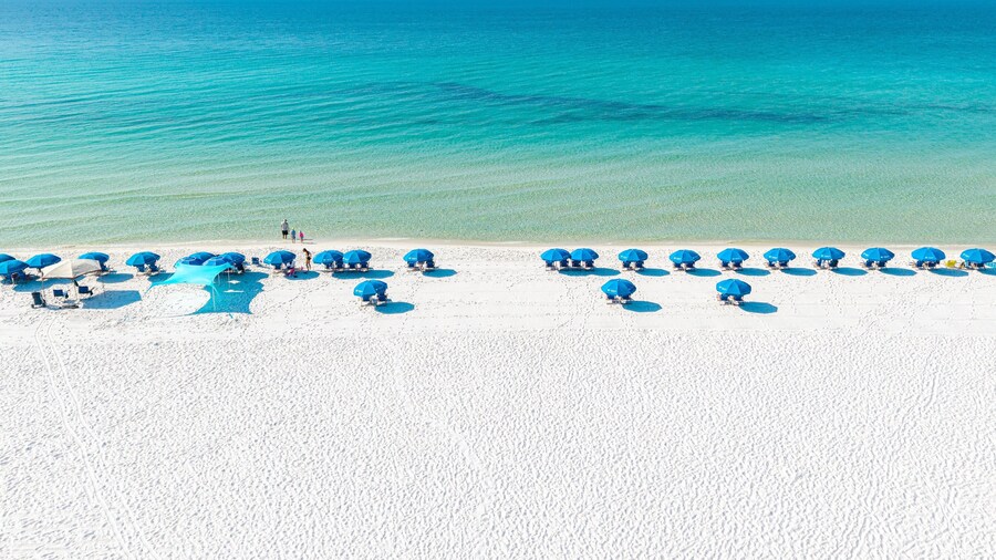 Blu 204 4 Bedroom Condo