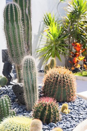 Parco della struttura