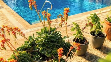 Piscina externa sazonal