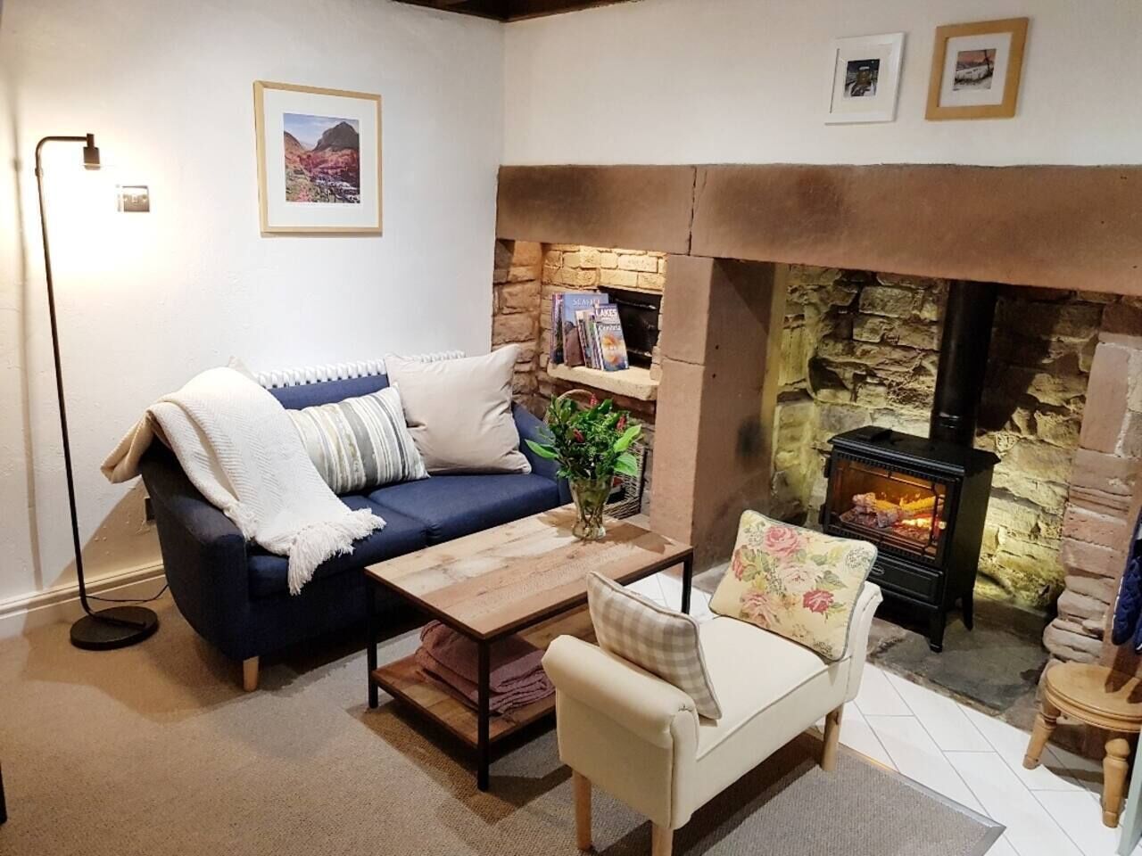 Smart TV, fireplace, books