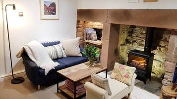 Smart TV, fireplace, books