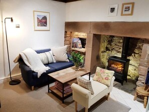 TV connectée, cheminée, livres